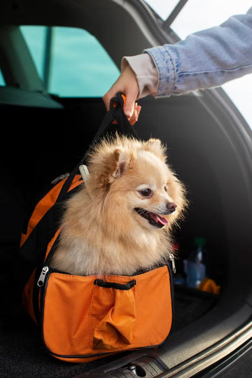 Dog Travel & Safety